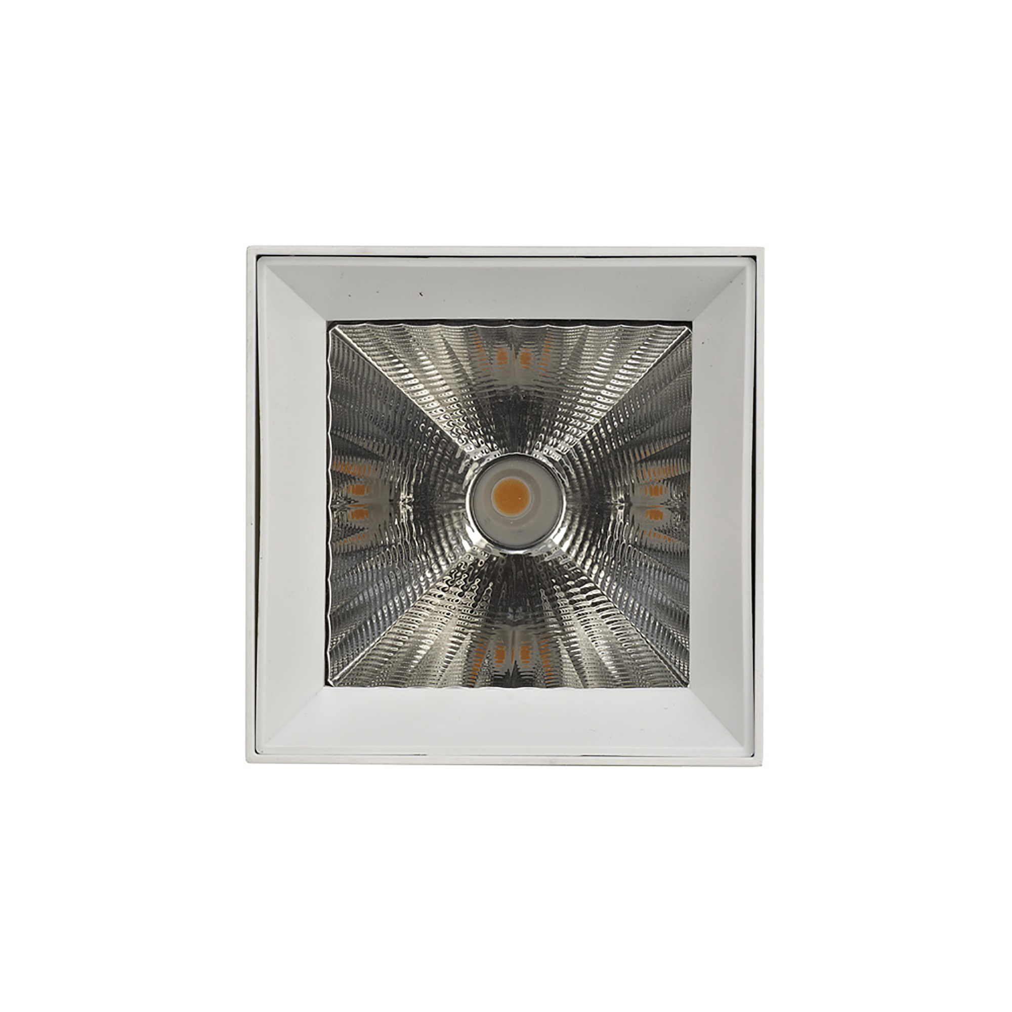 Eox 30 Indoor Surface Mounted Luminaires Dlux Unidirectional Surface Mount